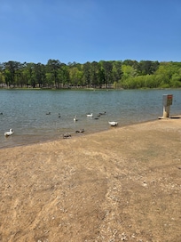 Sportsman Lake Park