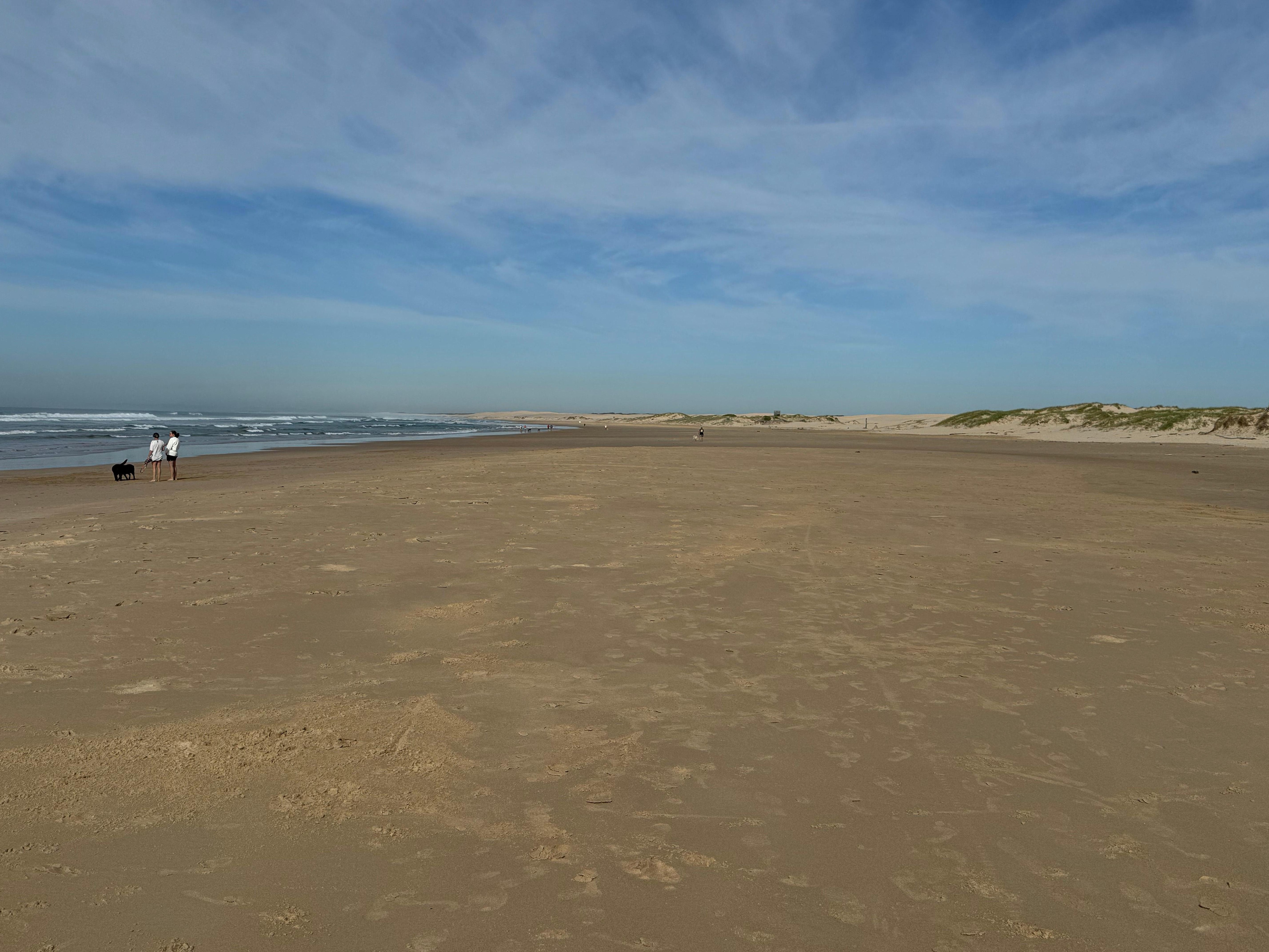 Birubi Beach is popular with the locals for walking their dogs before 9am and after 5pm each day. 