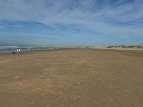 Birubi Beach is popular with the locals for walking their dogs before 9am and after 5pm each day.