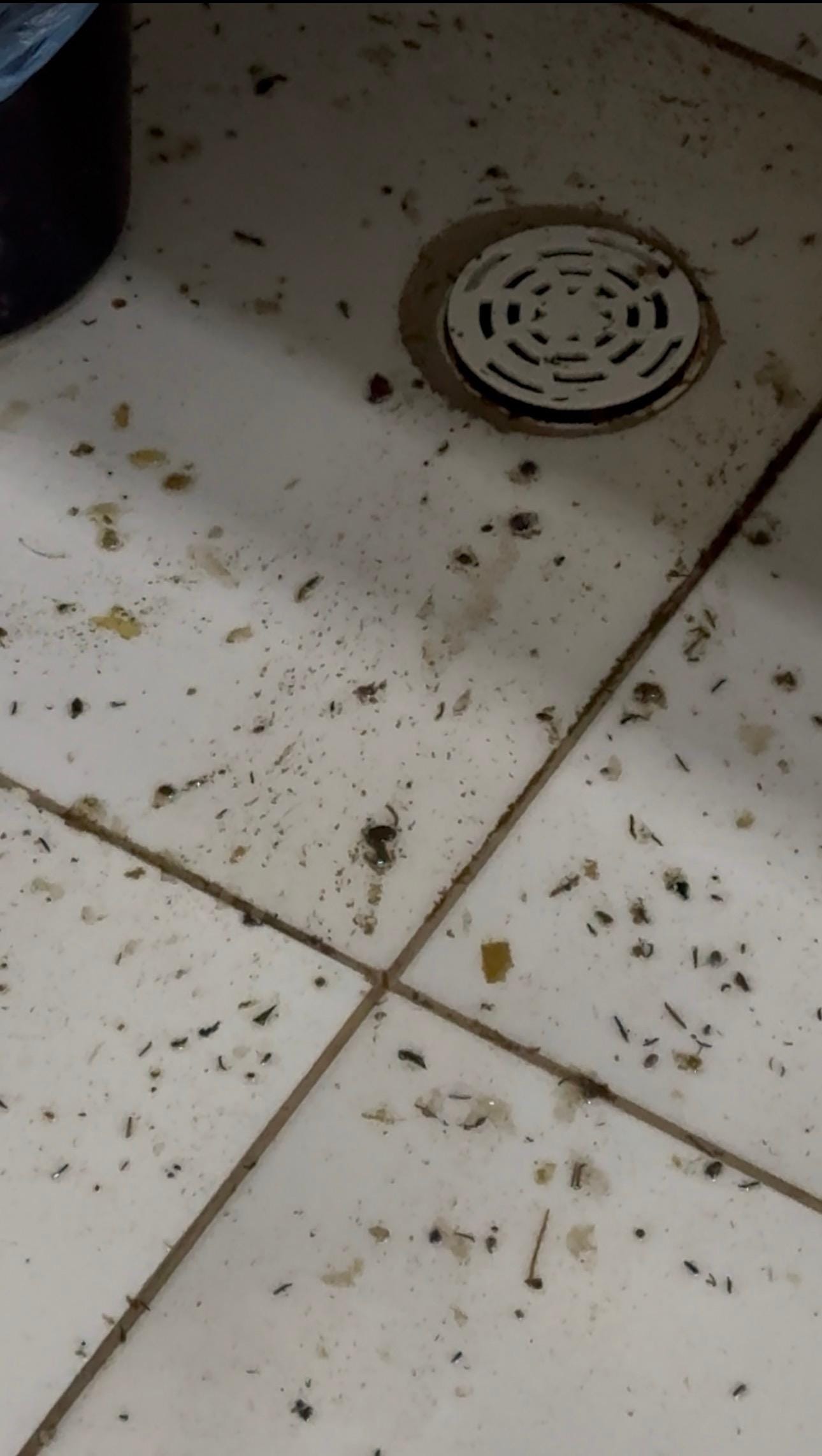 Mal cheiro tomou conta do quarto 