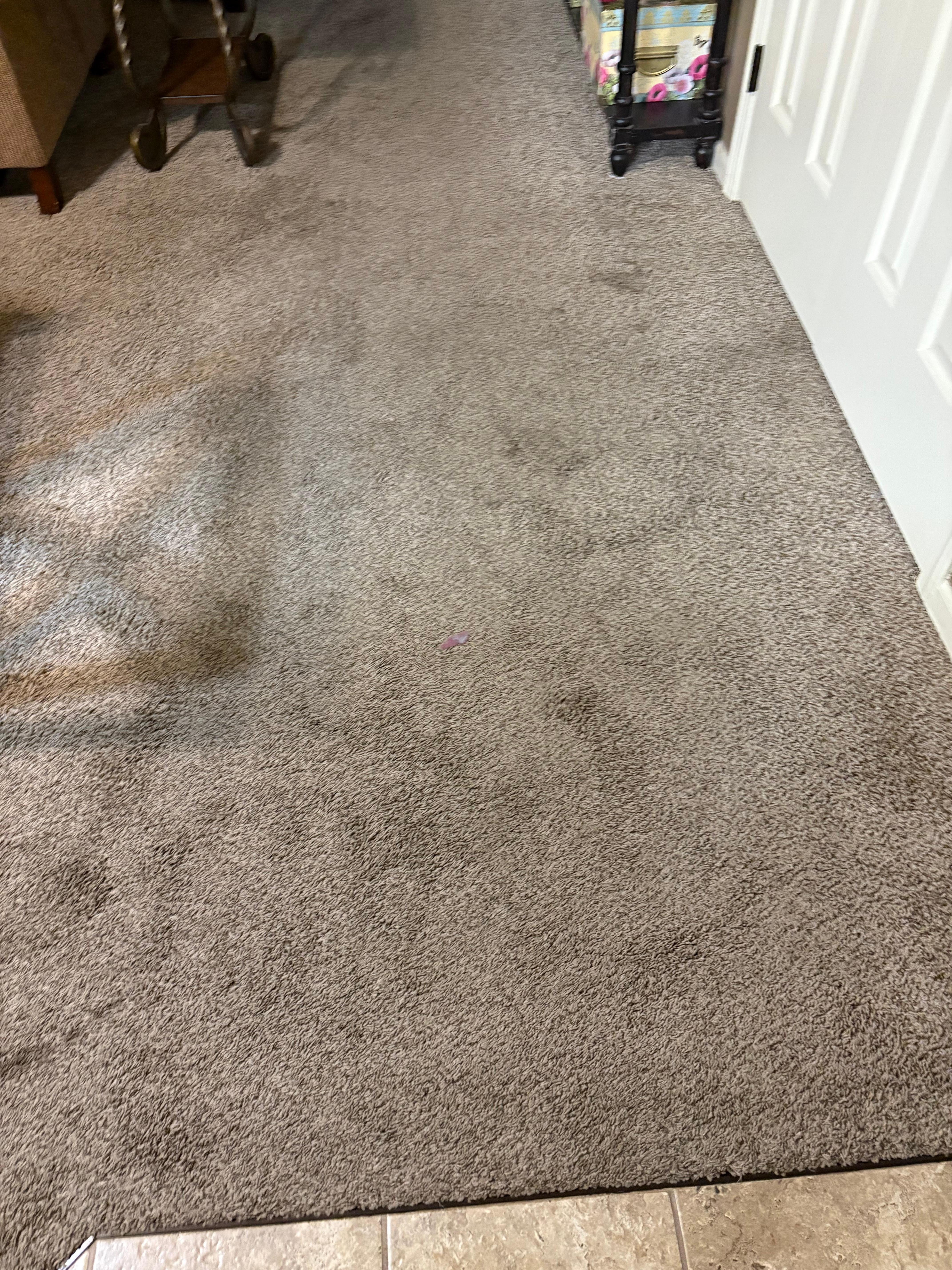 Filthy carpet