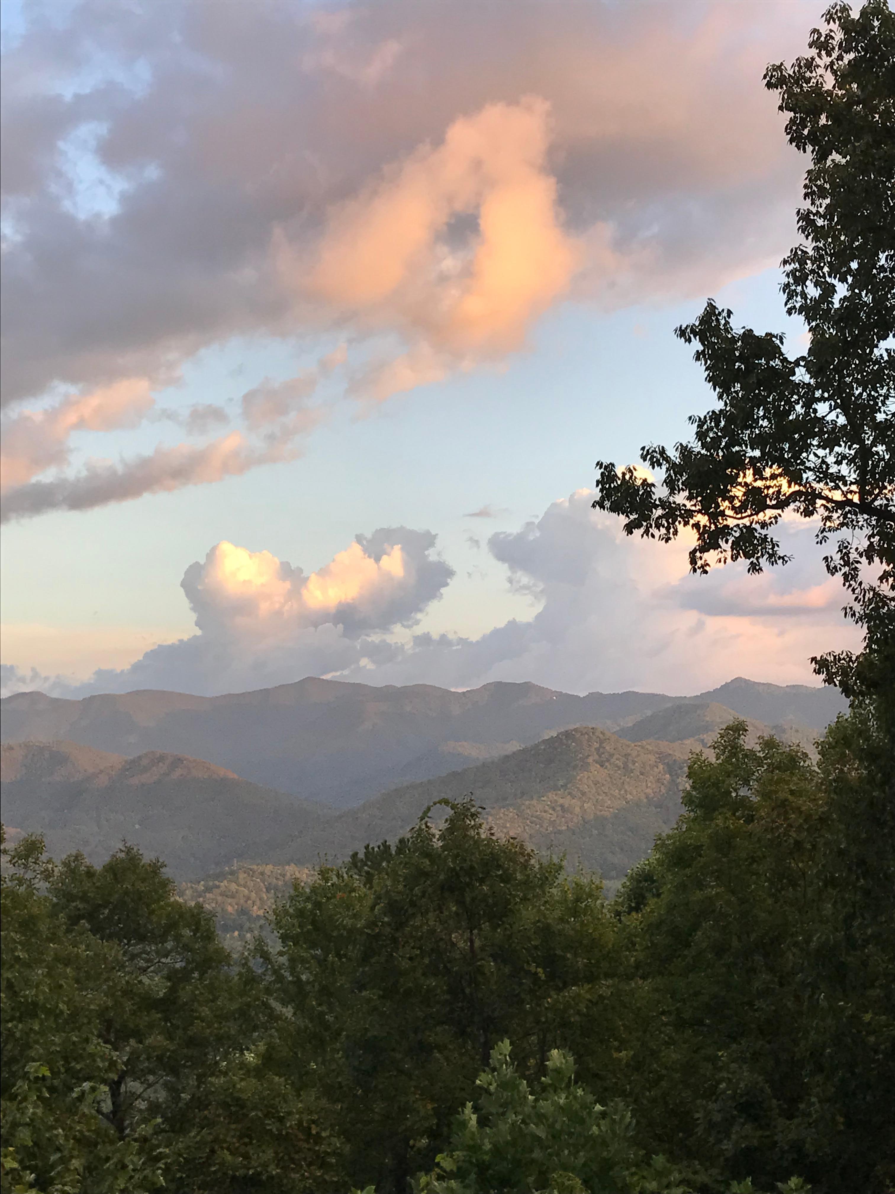 Views from the rockers!