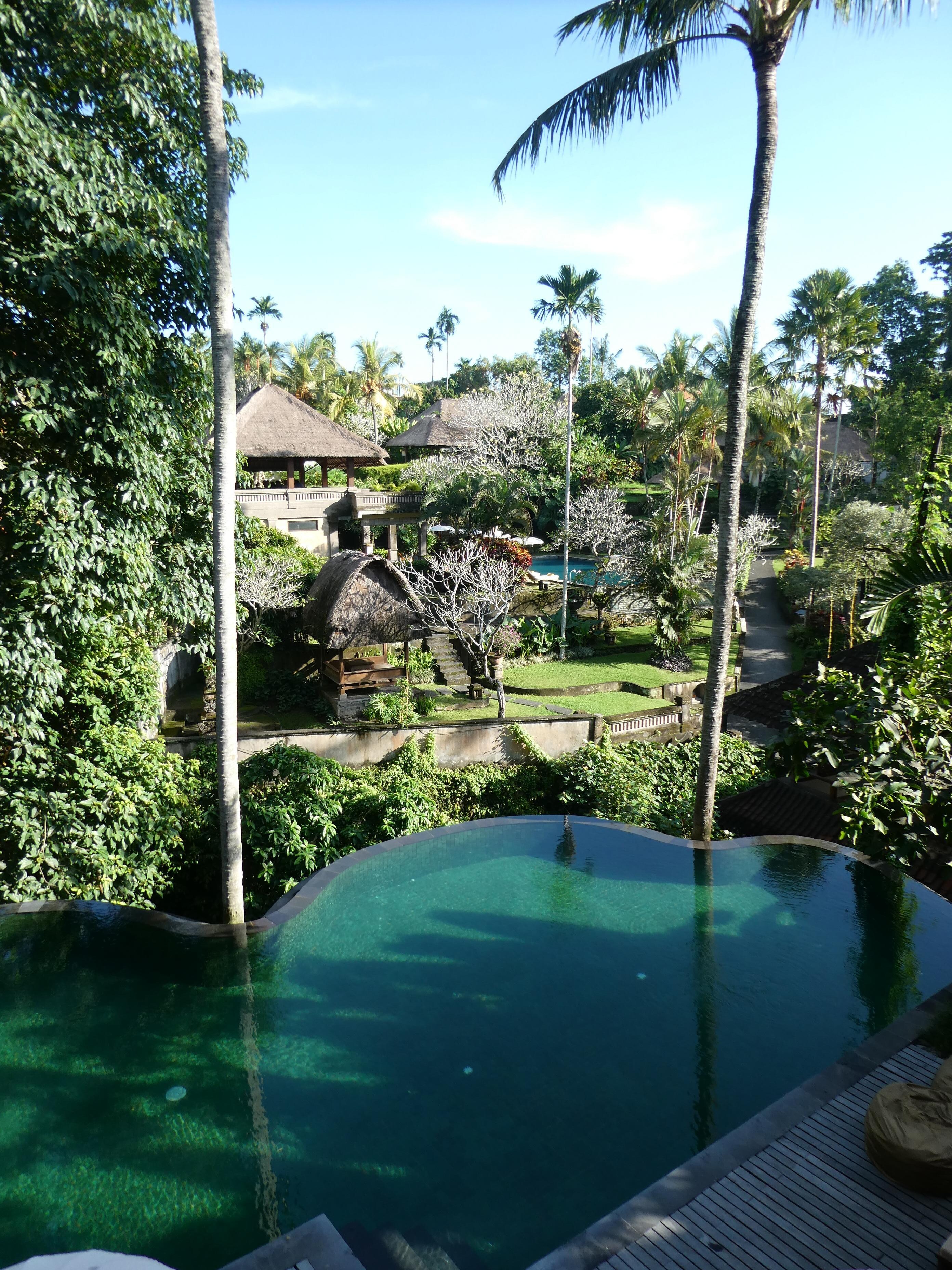 View over pool from the restaurant and breakfast area.