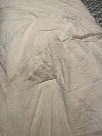 Comforter in master