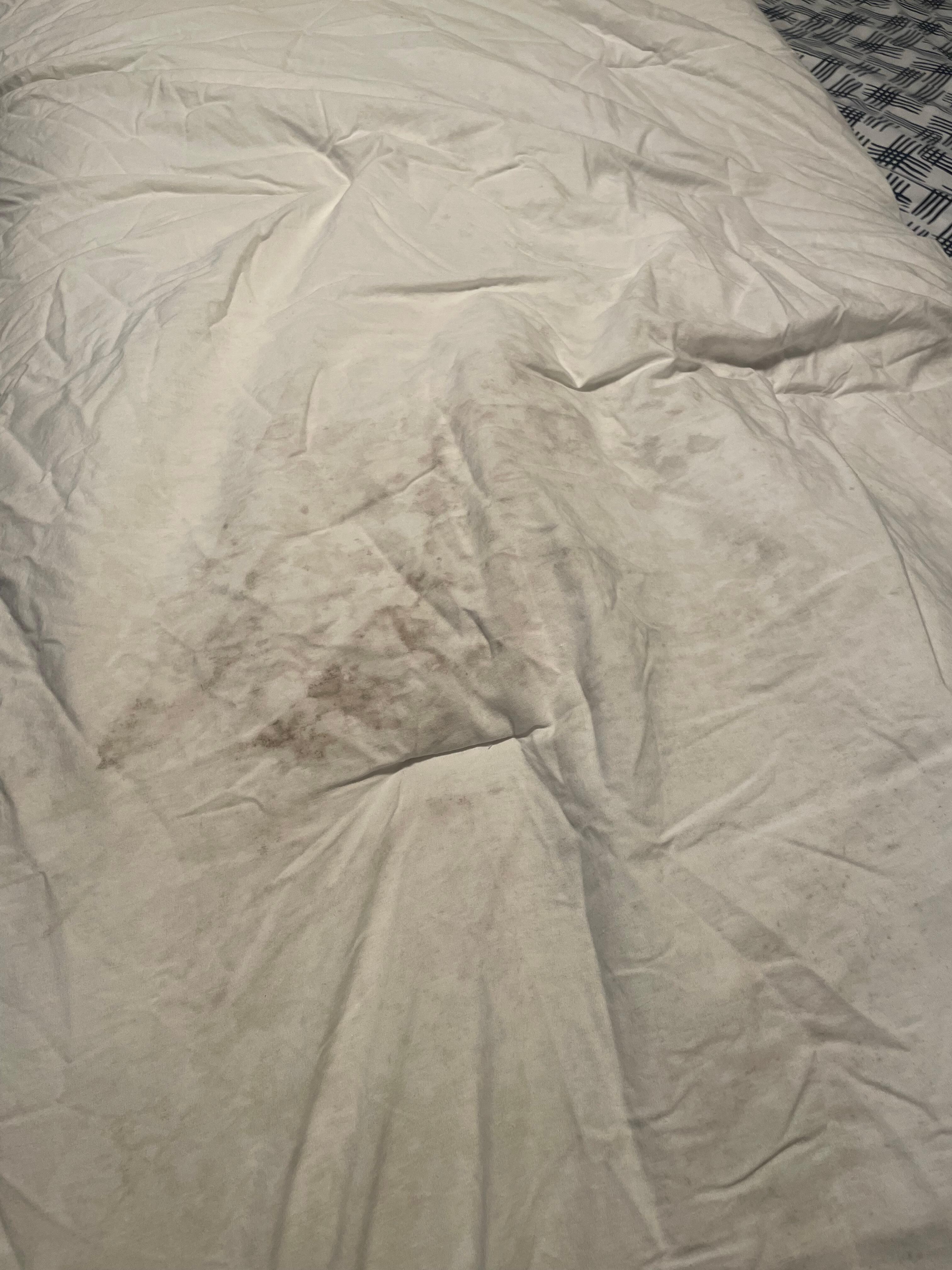 Comforter in master