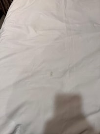 床單髒污,這只是其中一處而已。毛巾及浴巾一塊一塊黃色的髒污。忘了拍