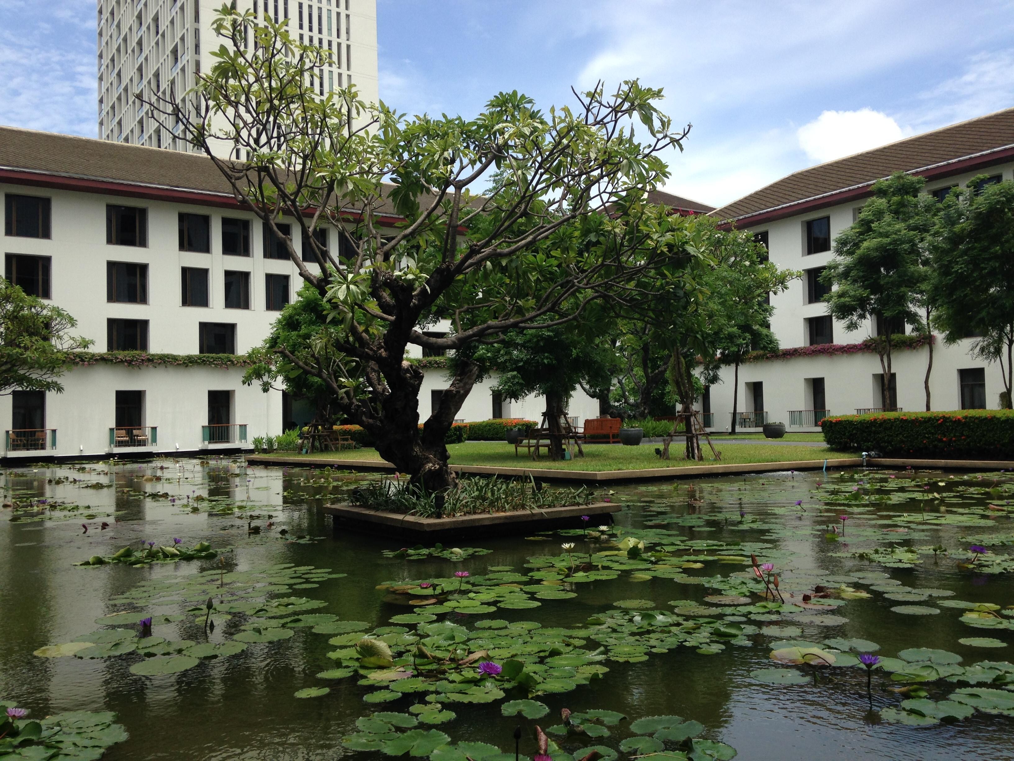 The Garden