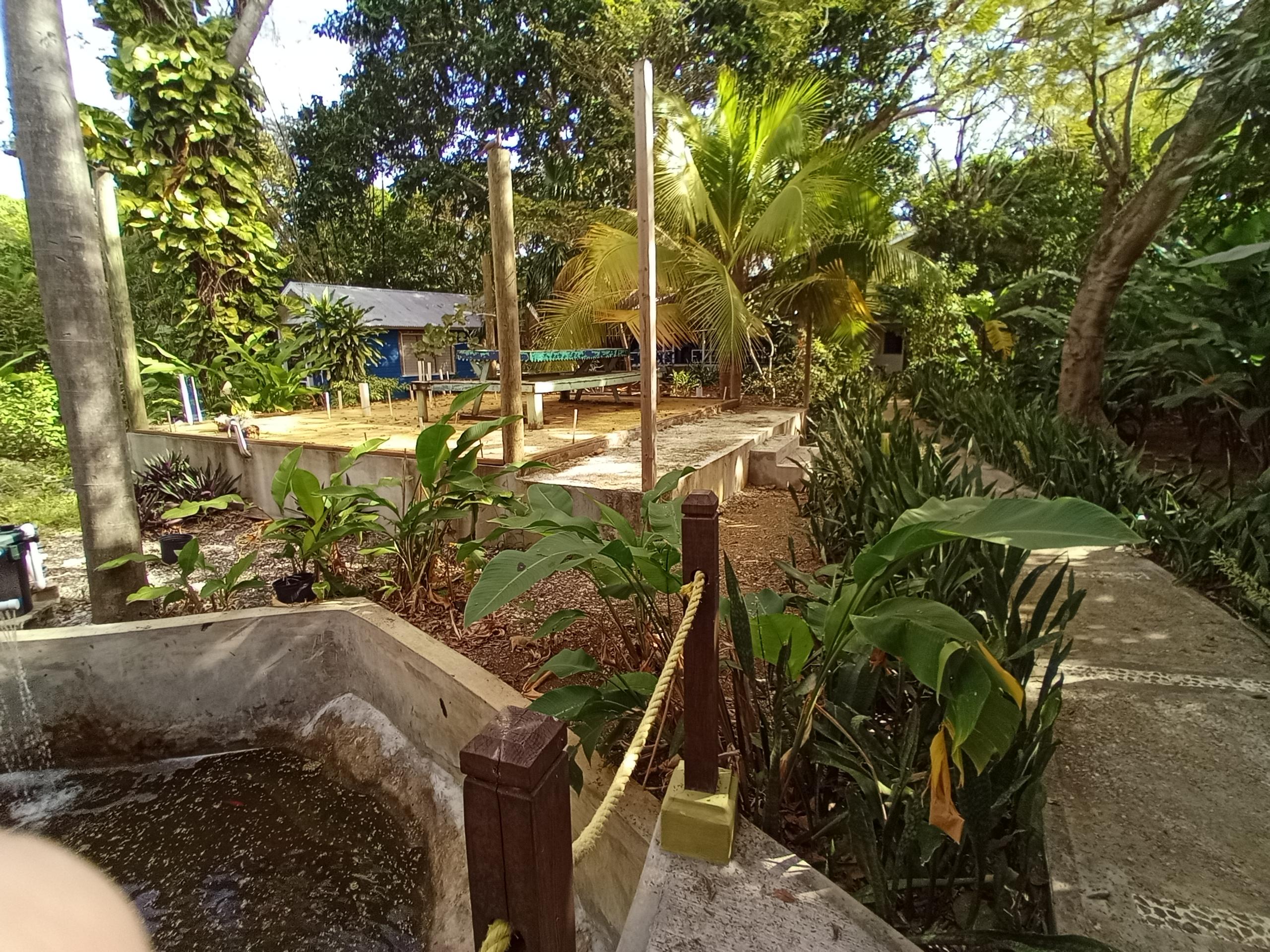 Picnic area surrounded by nature