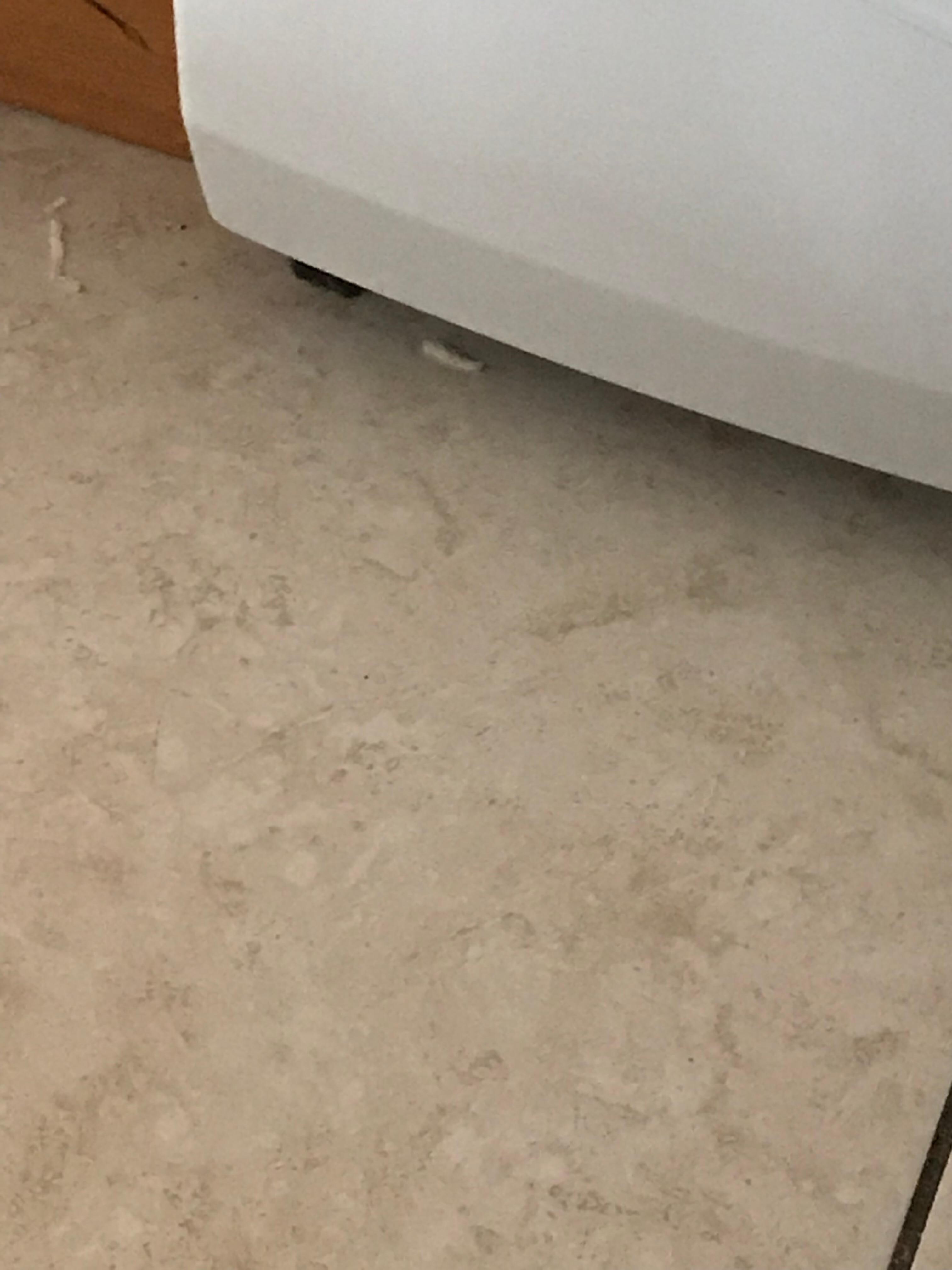 Design Suites Hollywood Beach Resort In Fort Lauderdale Hotel This Was The Most Horrible Experience I Had In A Hotel My Life First Smell Hallway Unbearable We Stayed For Four Days And Ody Went