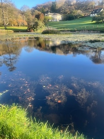 Beautiful landscapes gardens