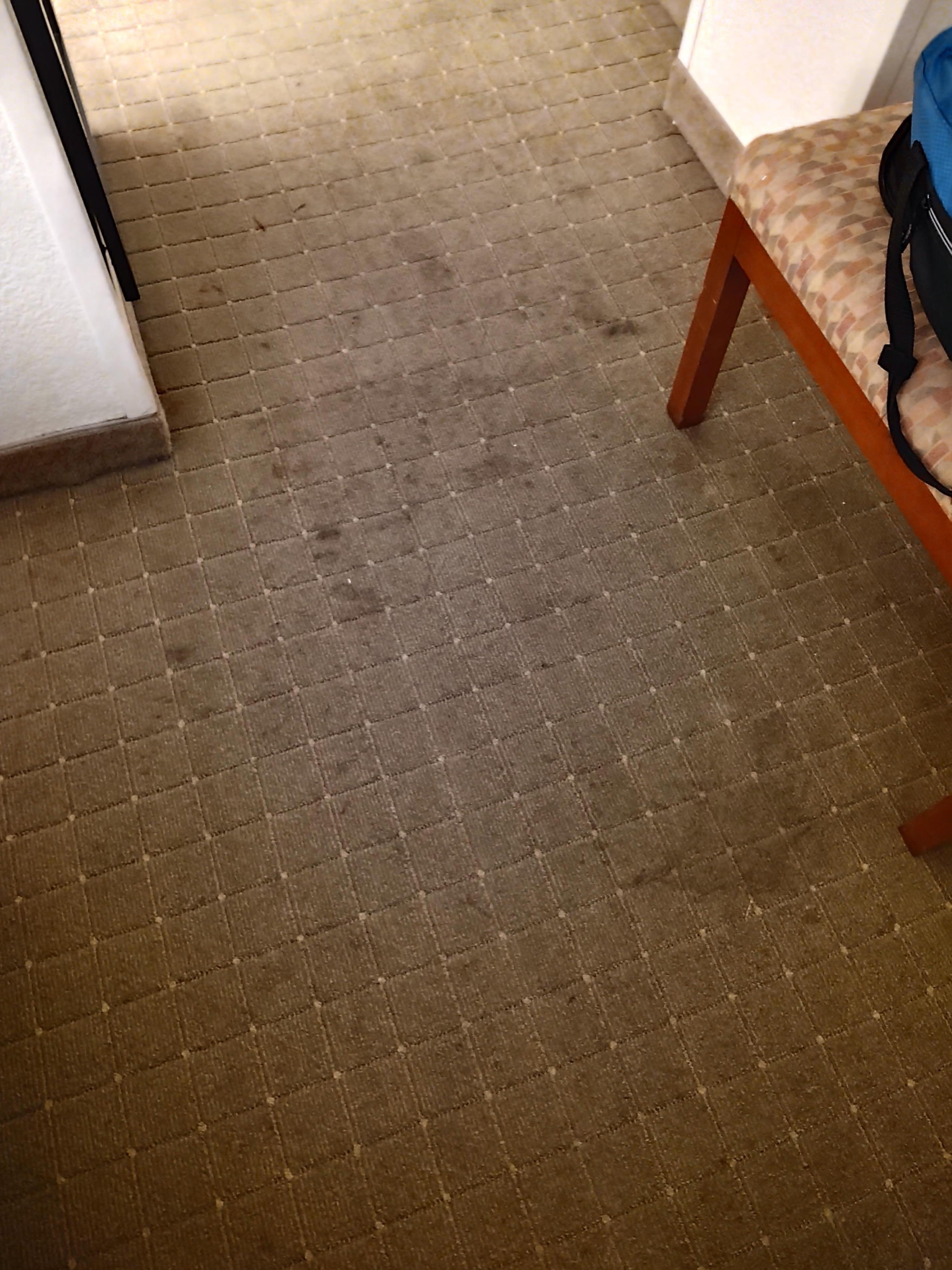 Stained carpeting