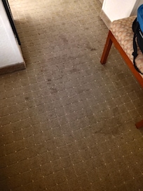 Stained carpeting
