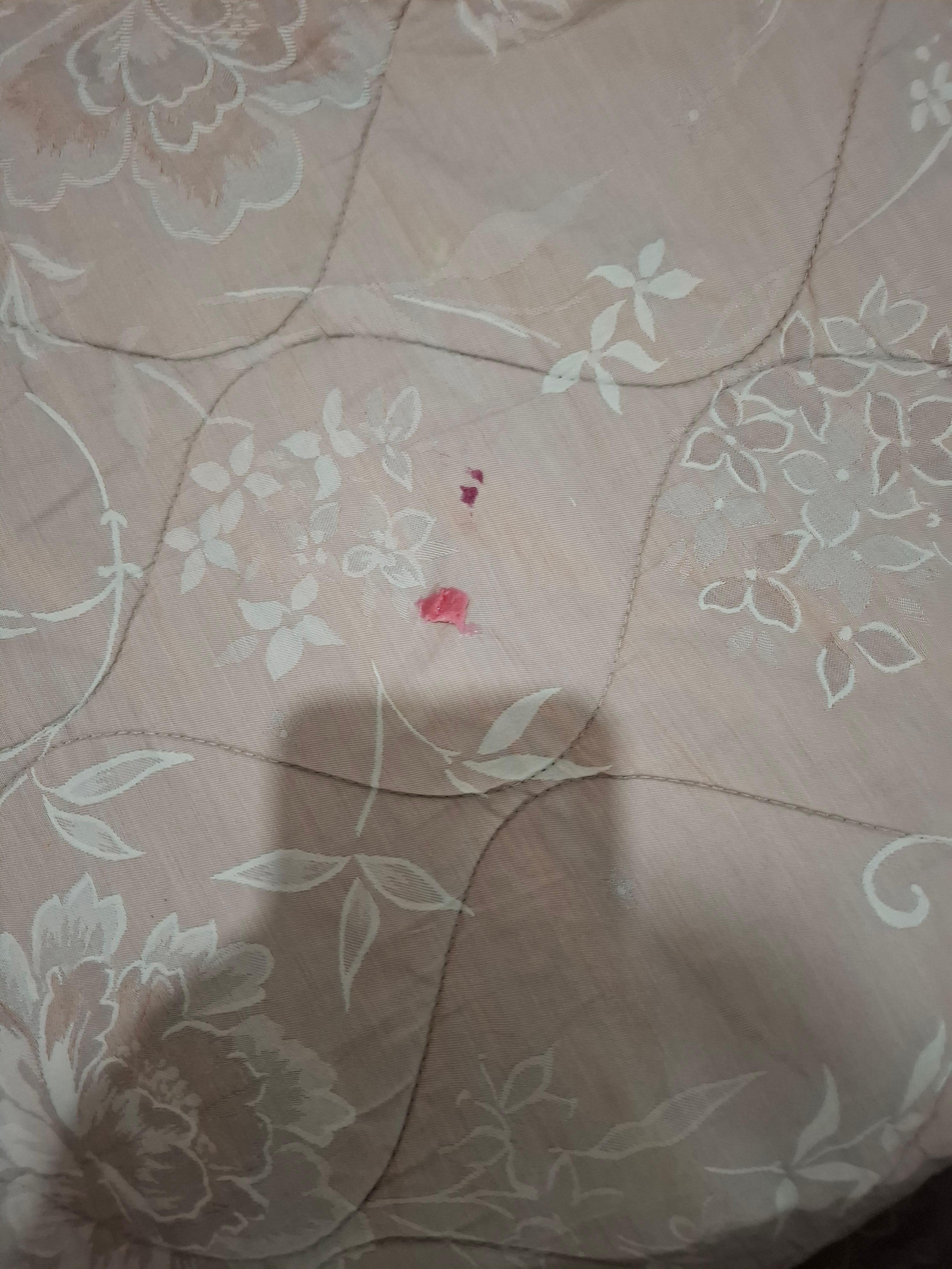 Some sort of sweet stuck to bedding