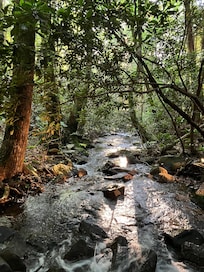 The creek…