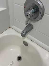 Mold in shower