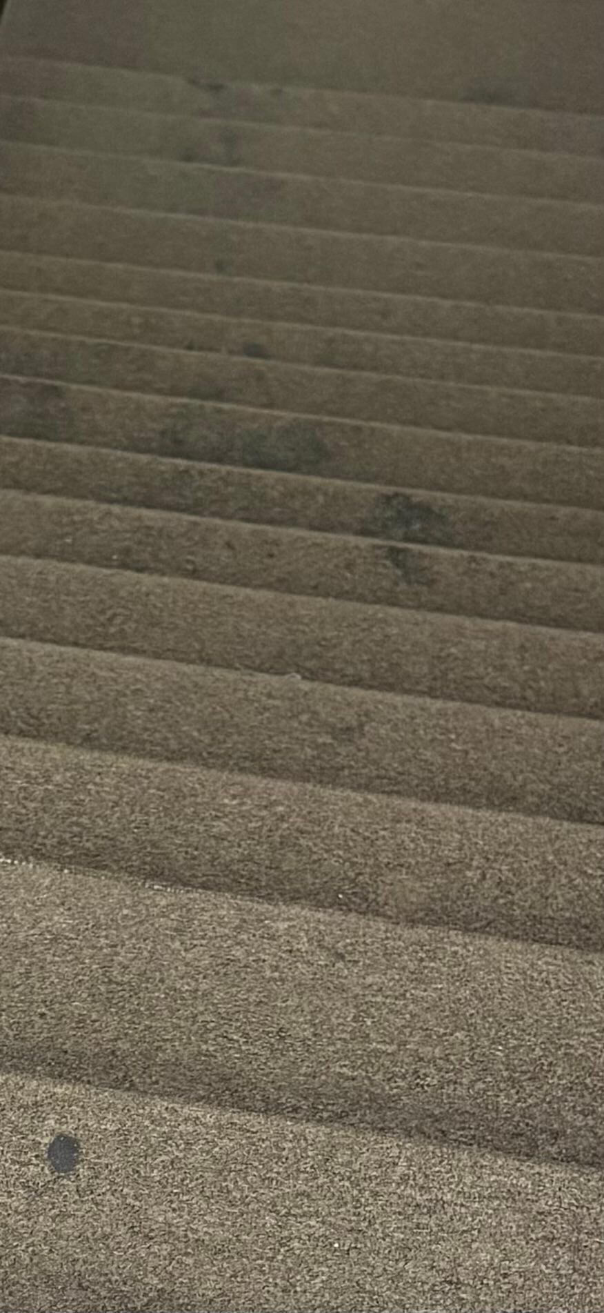 Stairs to my room