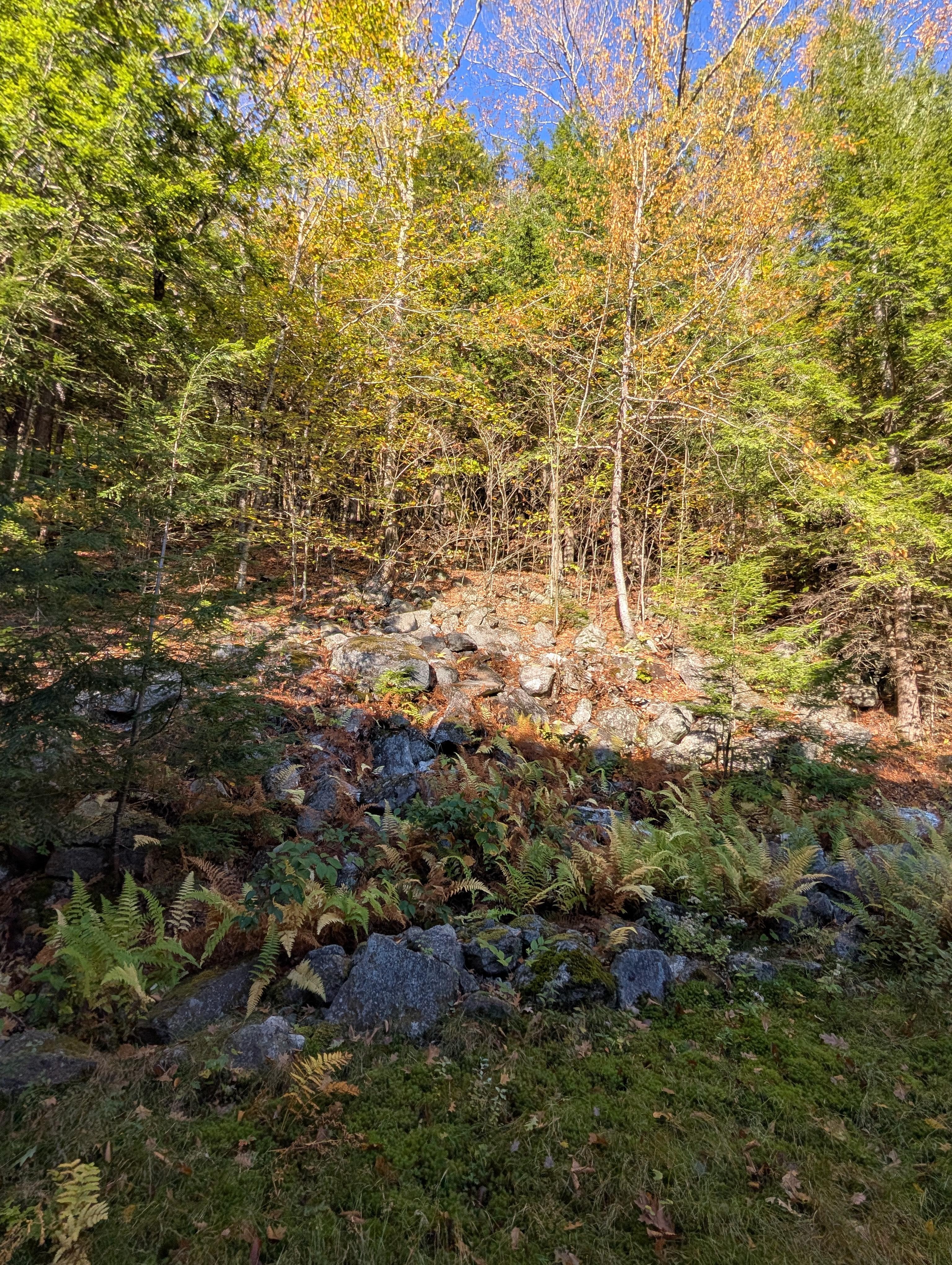 View from the corner of deck near front door 