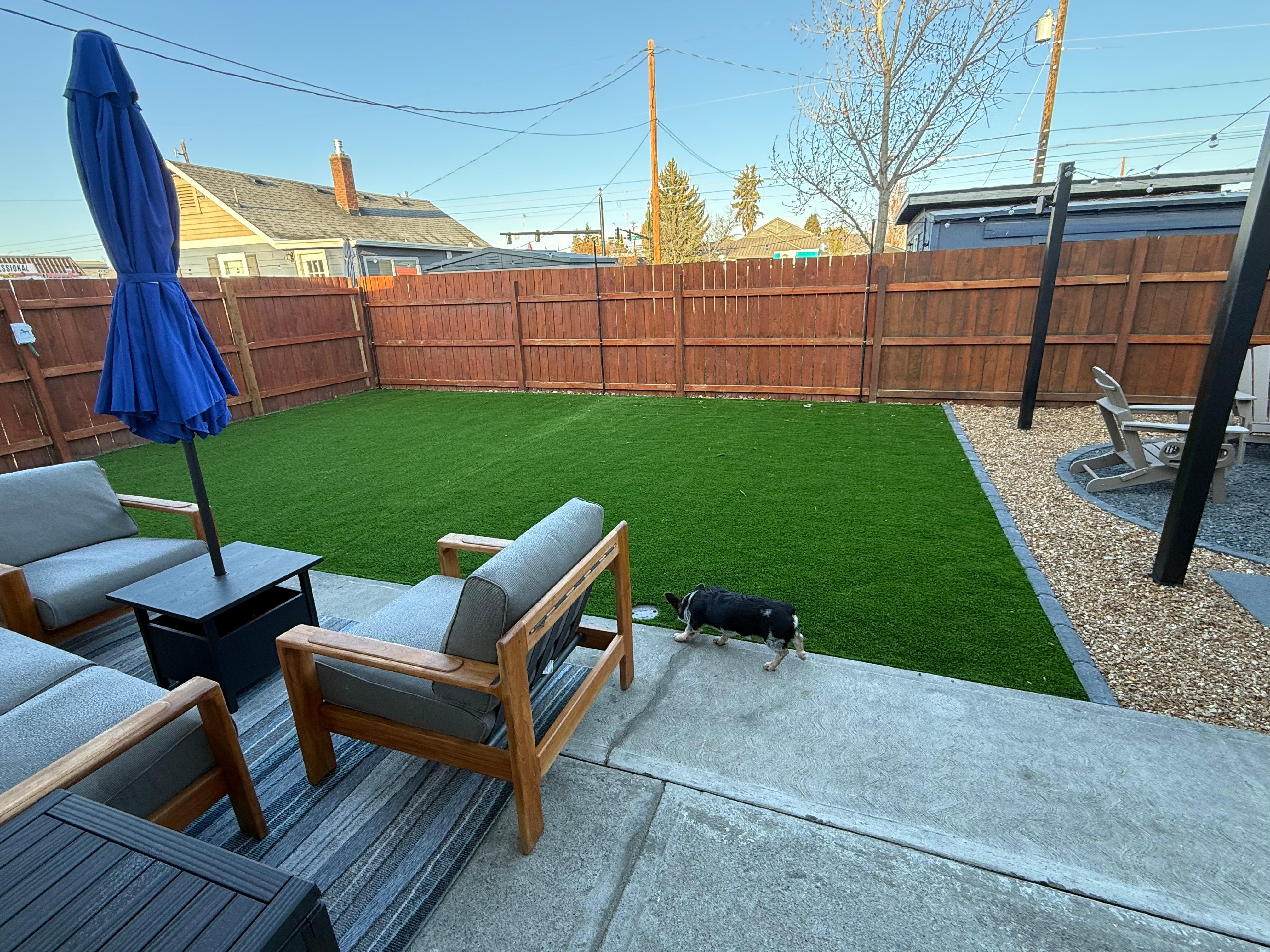 The background was so adorable! I loved the turf. 