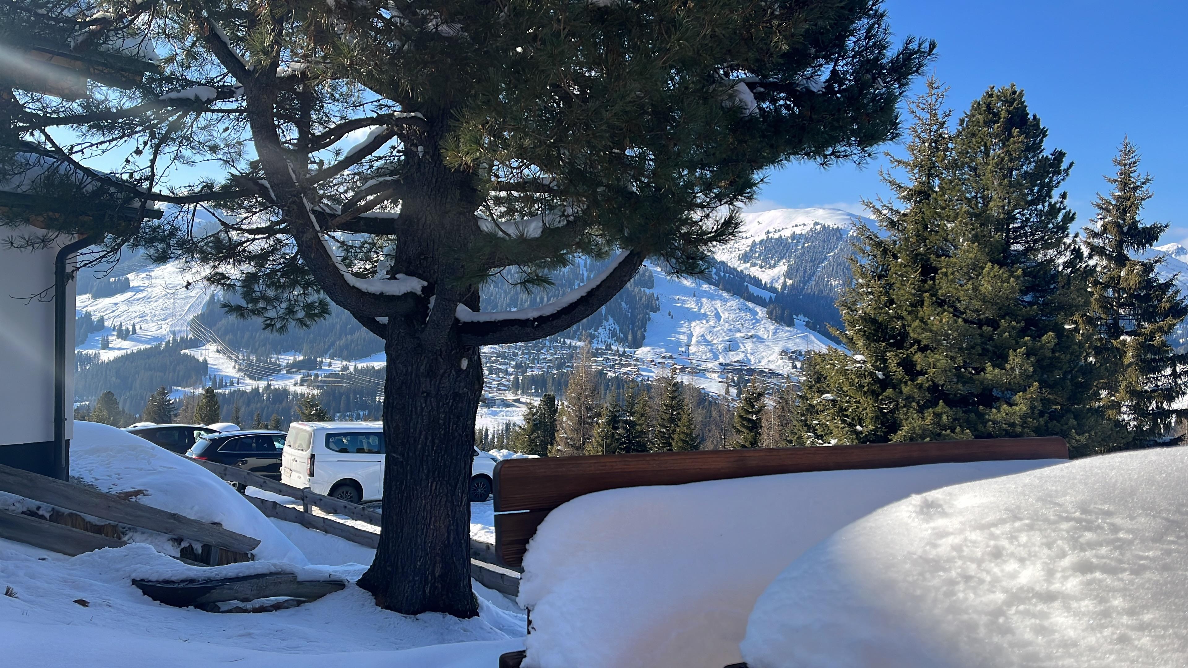 Blick von der Terrasse