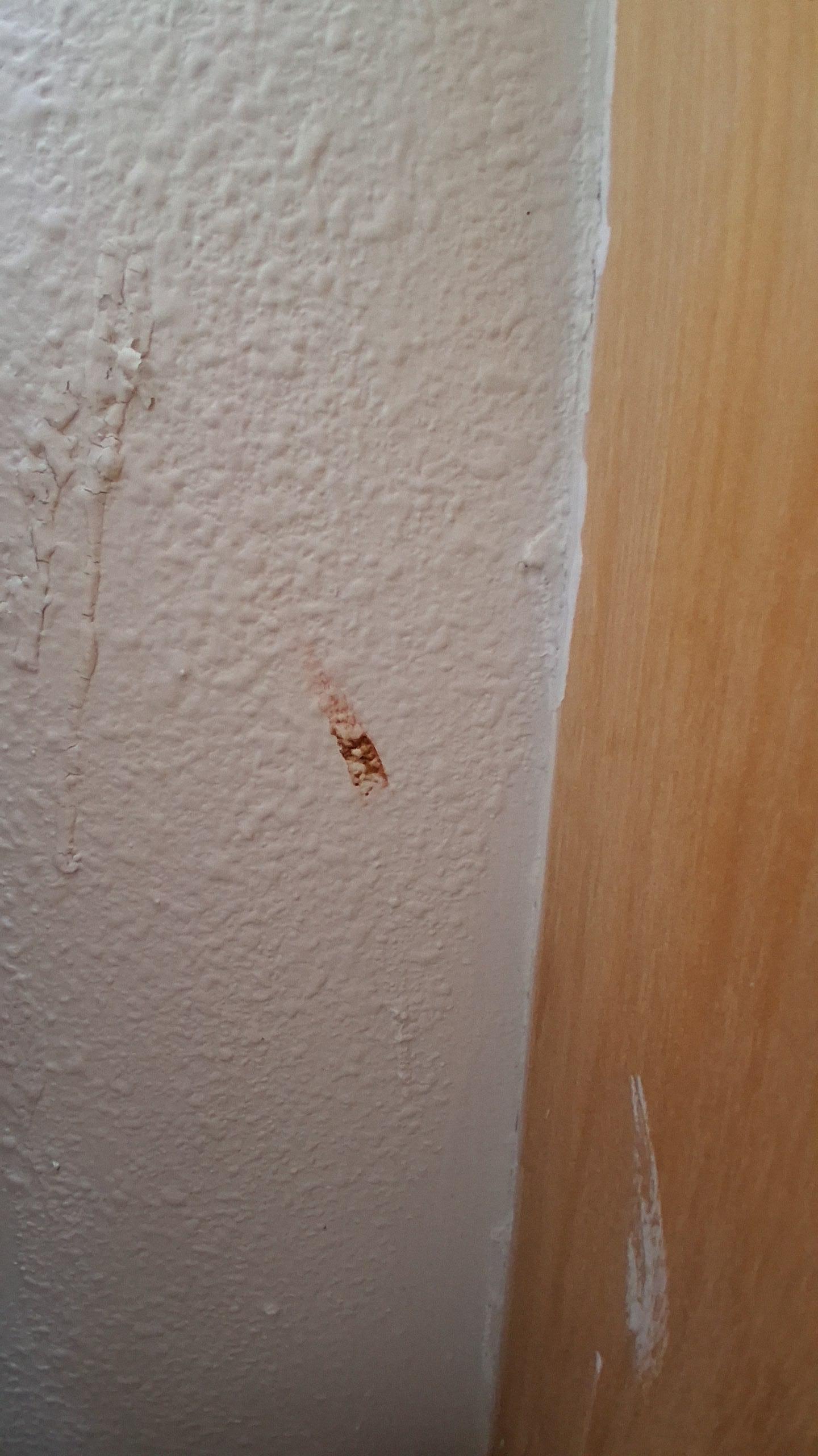 This was behind the toilet 