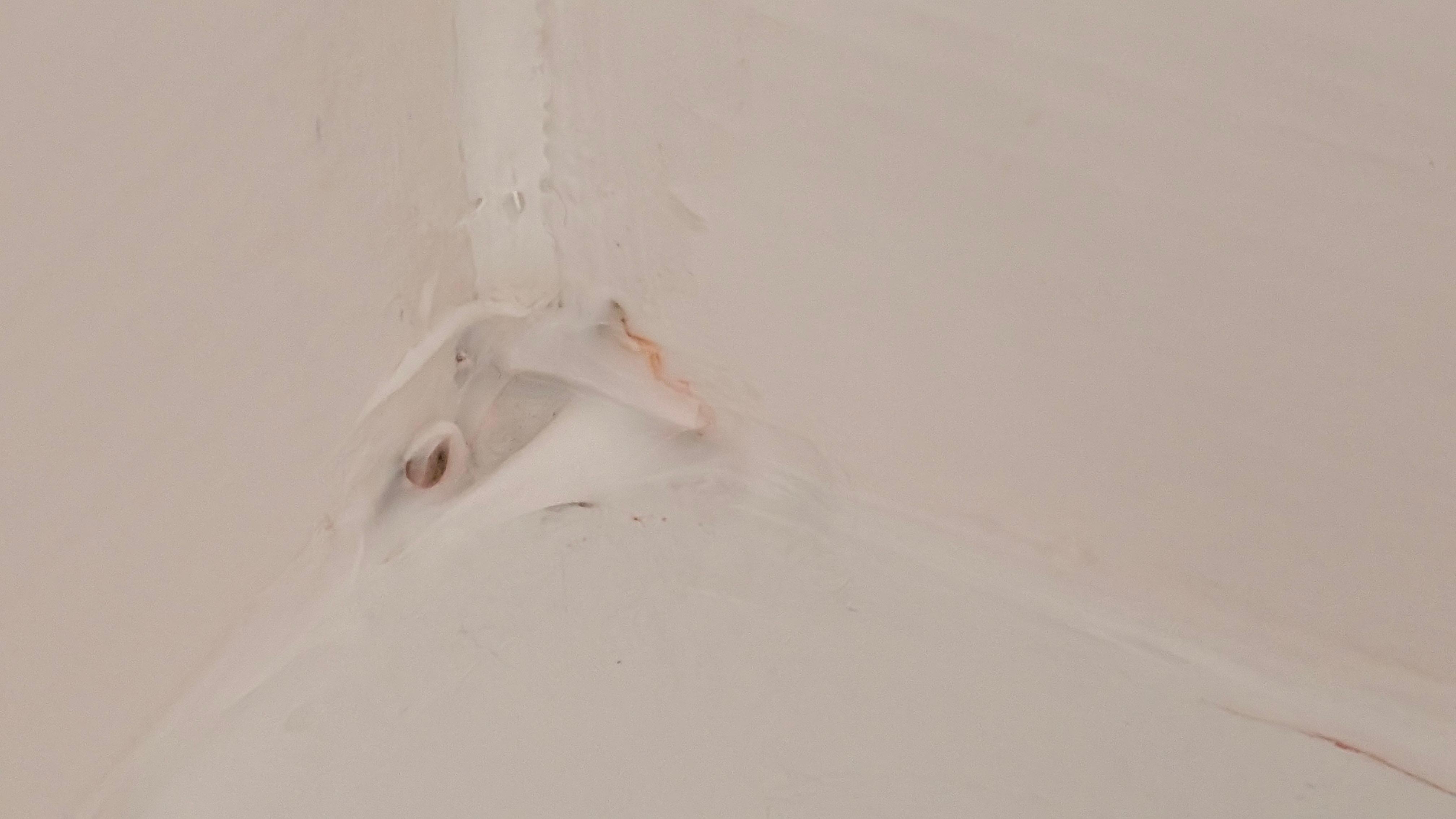 Mold