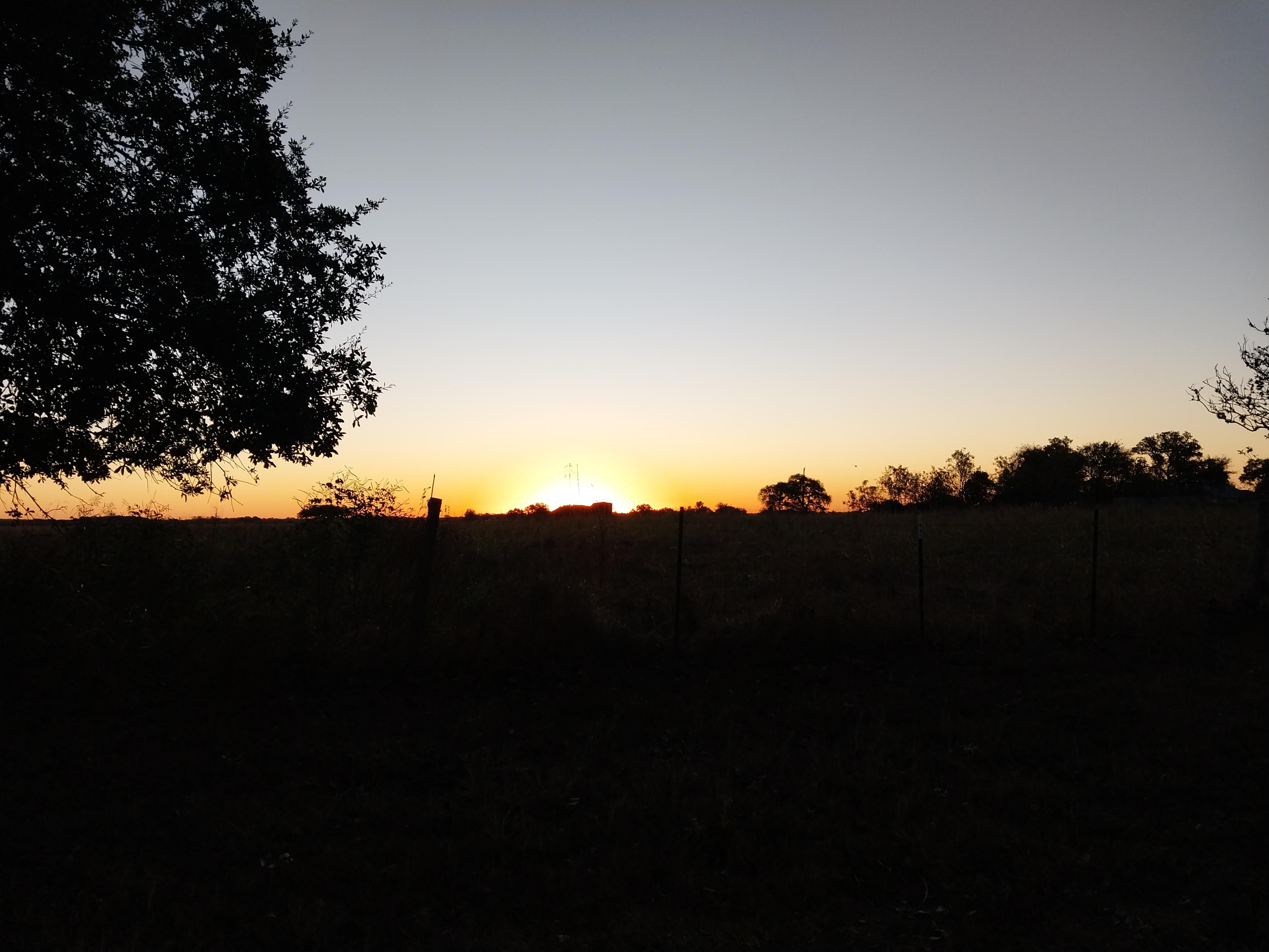 Sunrise