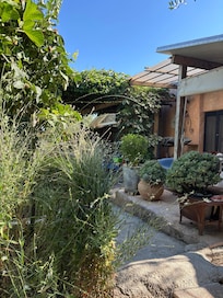View from my reading spot!