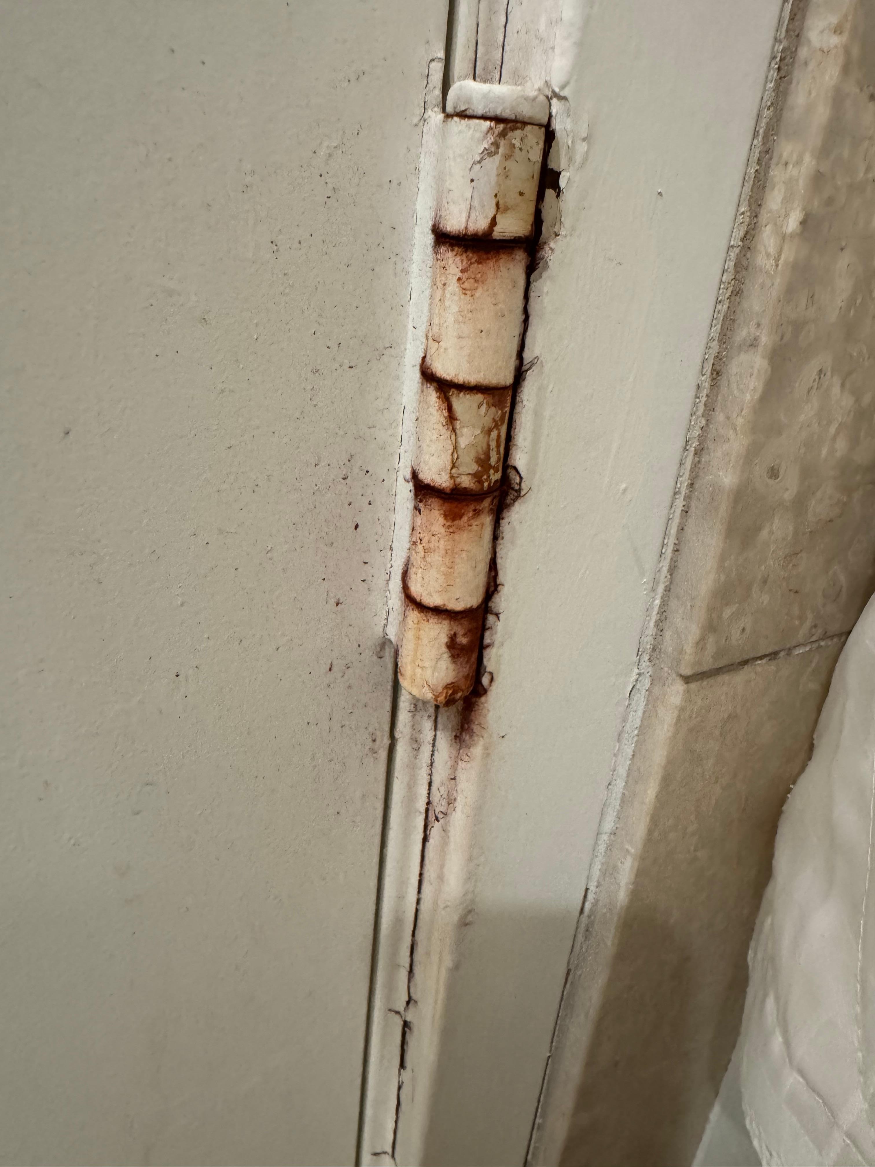 door hinges were gross