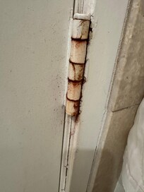 door hinges were gross