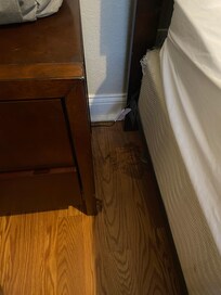 Stains and nail clipping