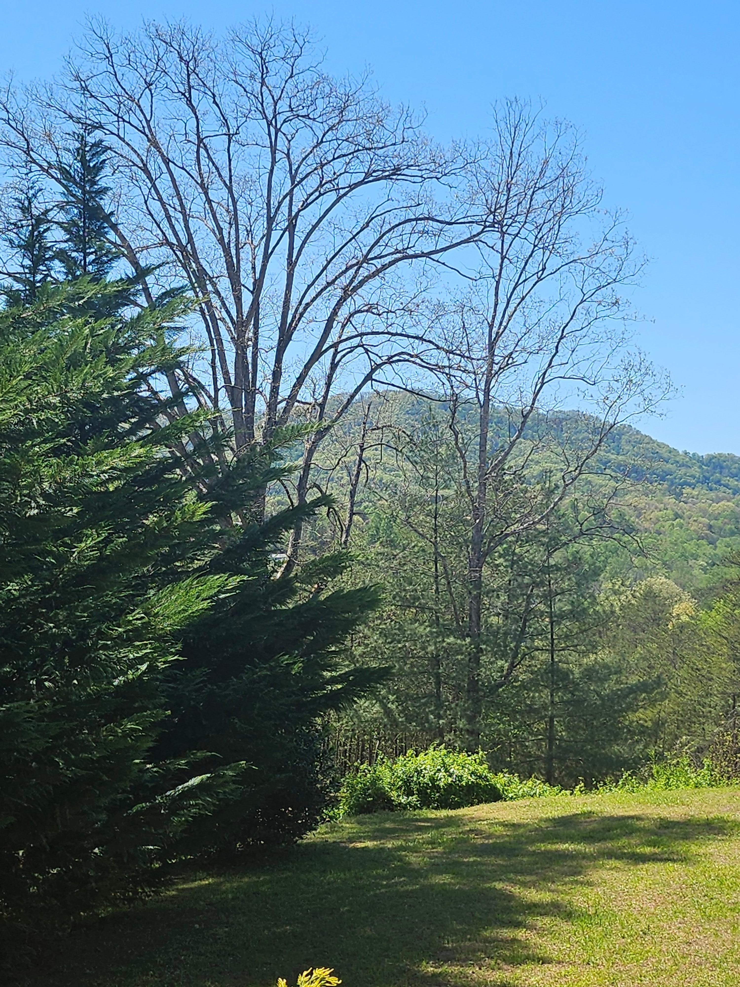 Beautiful view from front porch.