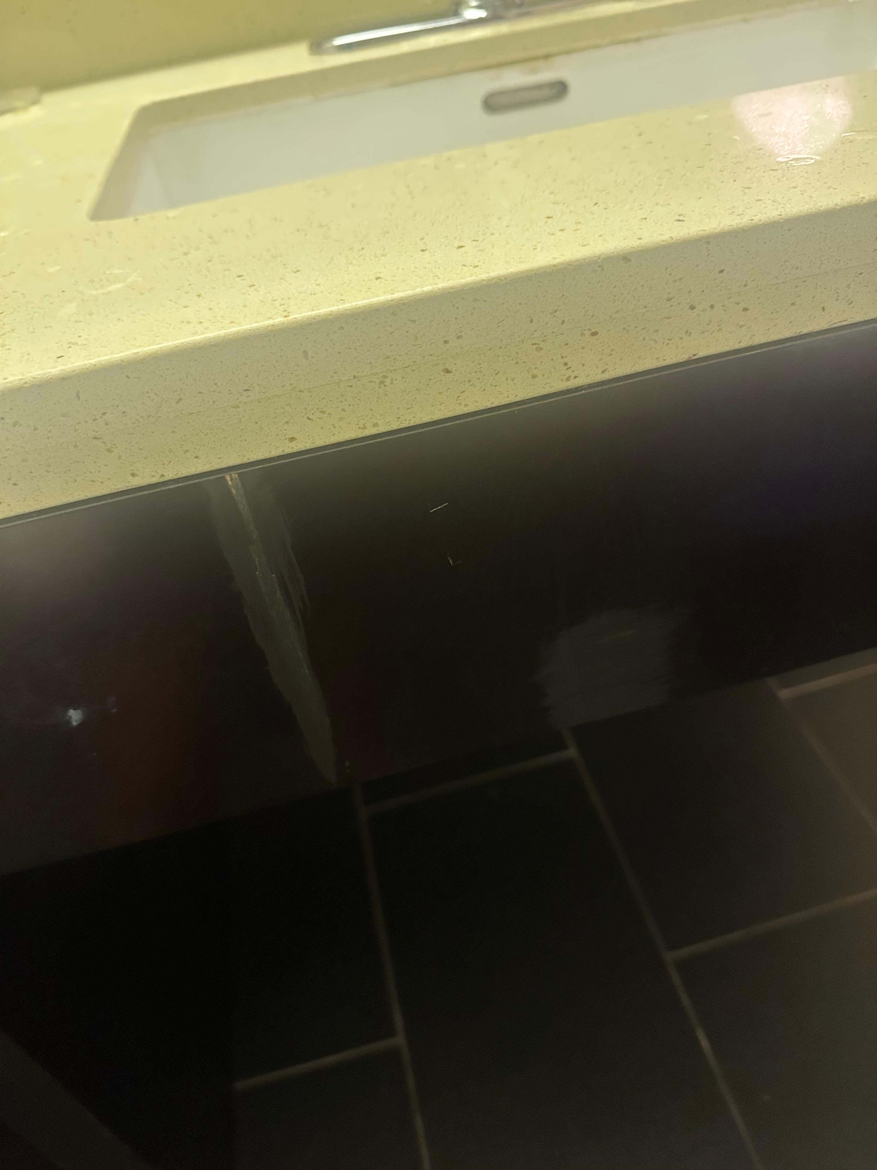 I guess these are supposed to be sealed cracks in the sink? Not sure. 