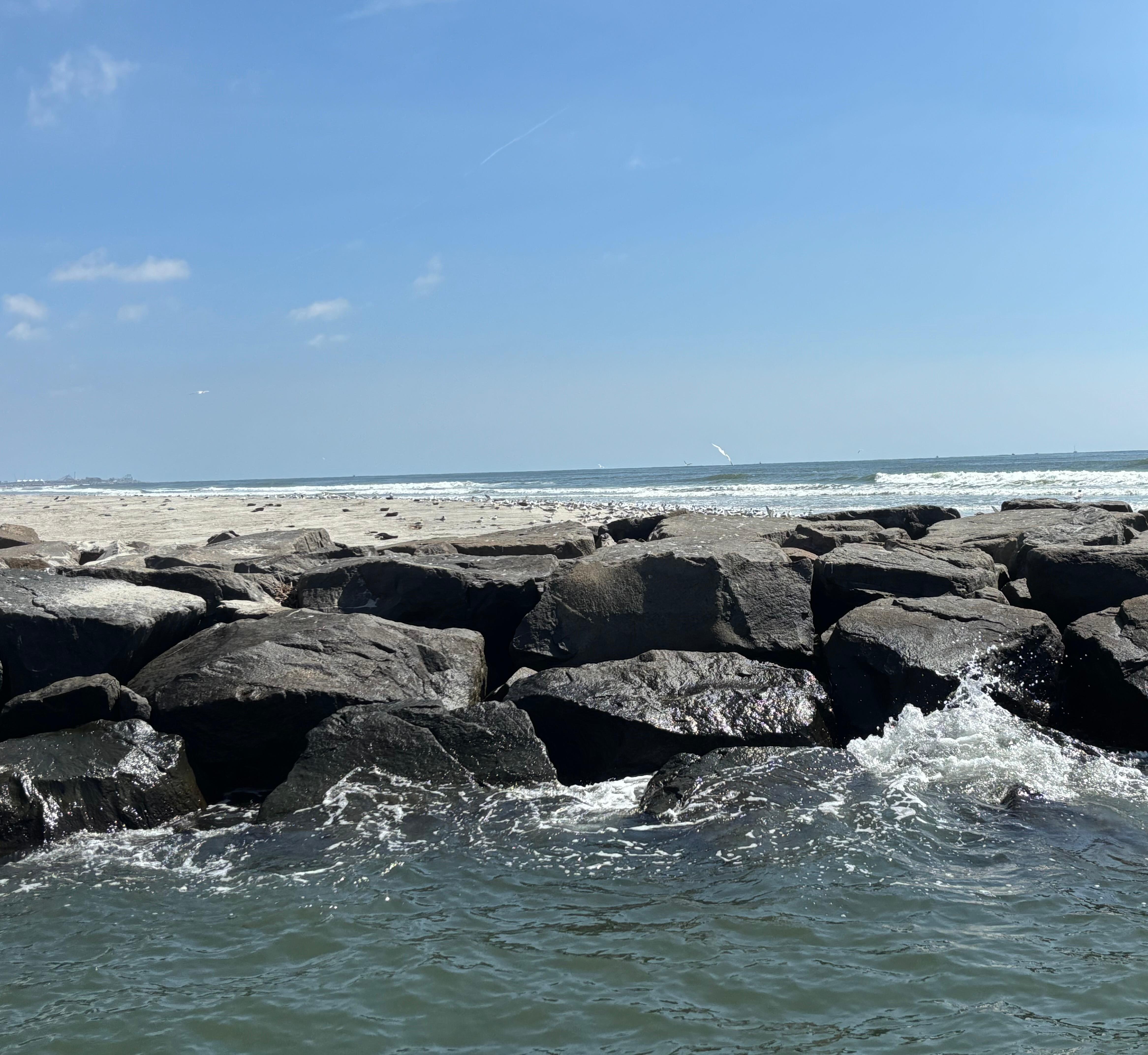Hidden gem …boat ride where we saw lots of marsh grass wildlife