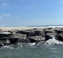 Hidden gem …boat ride where we saw lots of marsh grass wildlife