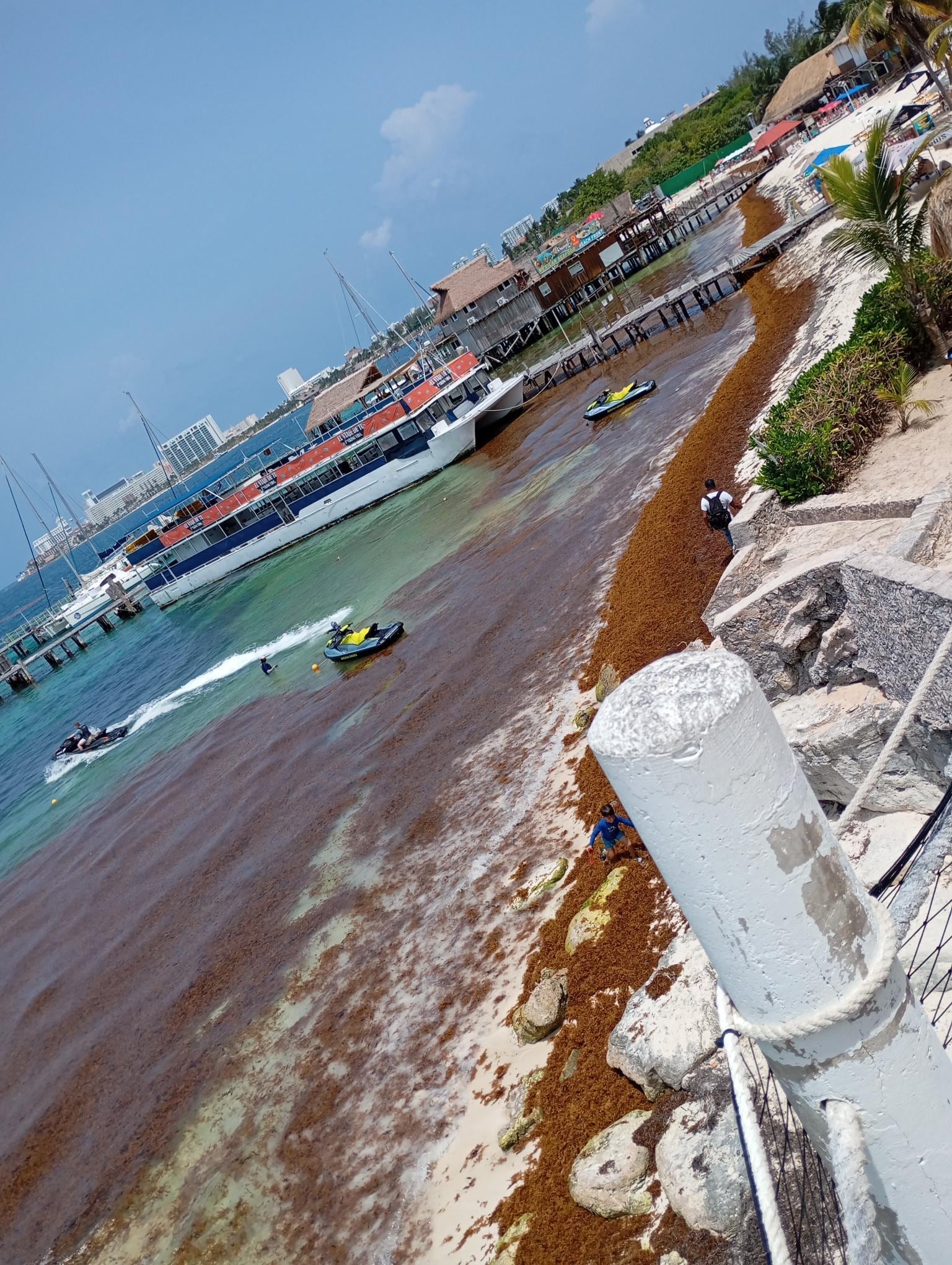 Plage non entretenue, remplie de sargasses