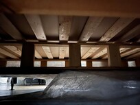 Unacceptable condition under a bed whether you’re traveling with or without pets. Who knows what’s up under there?