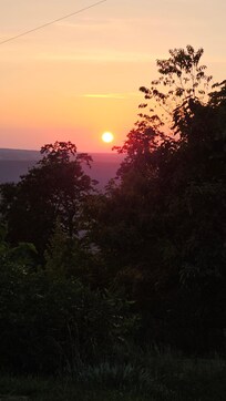 Evening view!