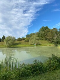 Gorgeous pond!