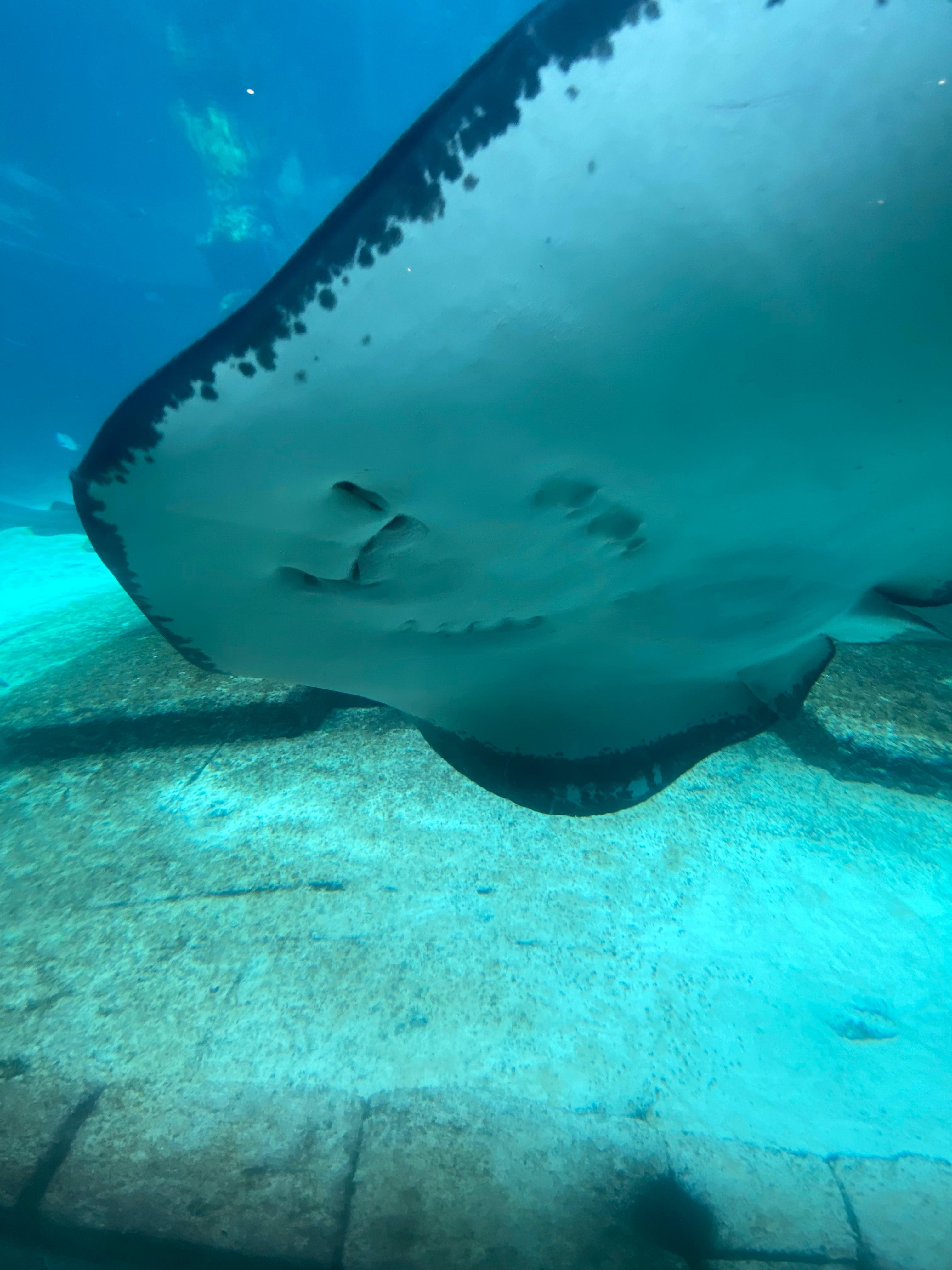 Example of what you might see when in the dig 