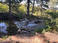 View down the creek toward the lake from the fire pit.