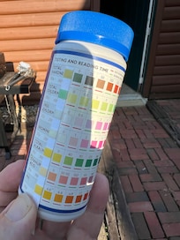 PH of 6, Free Chlorine 0, Bromine 0, Total Alkalinity 0