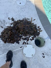 POOL INTAKE FULL OF LEAVES NO WATER FLOW
