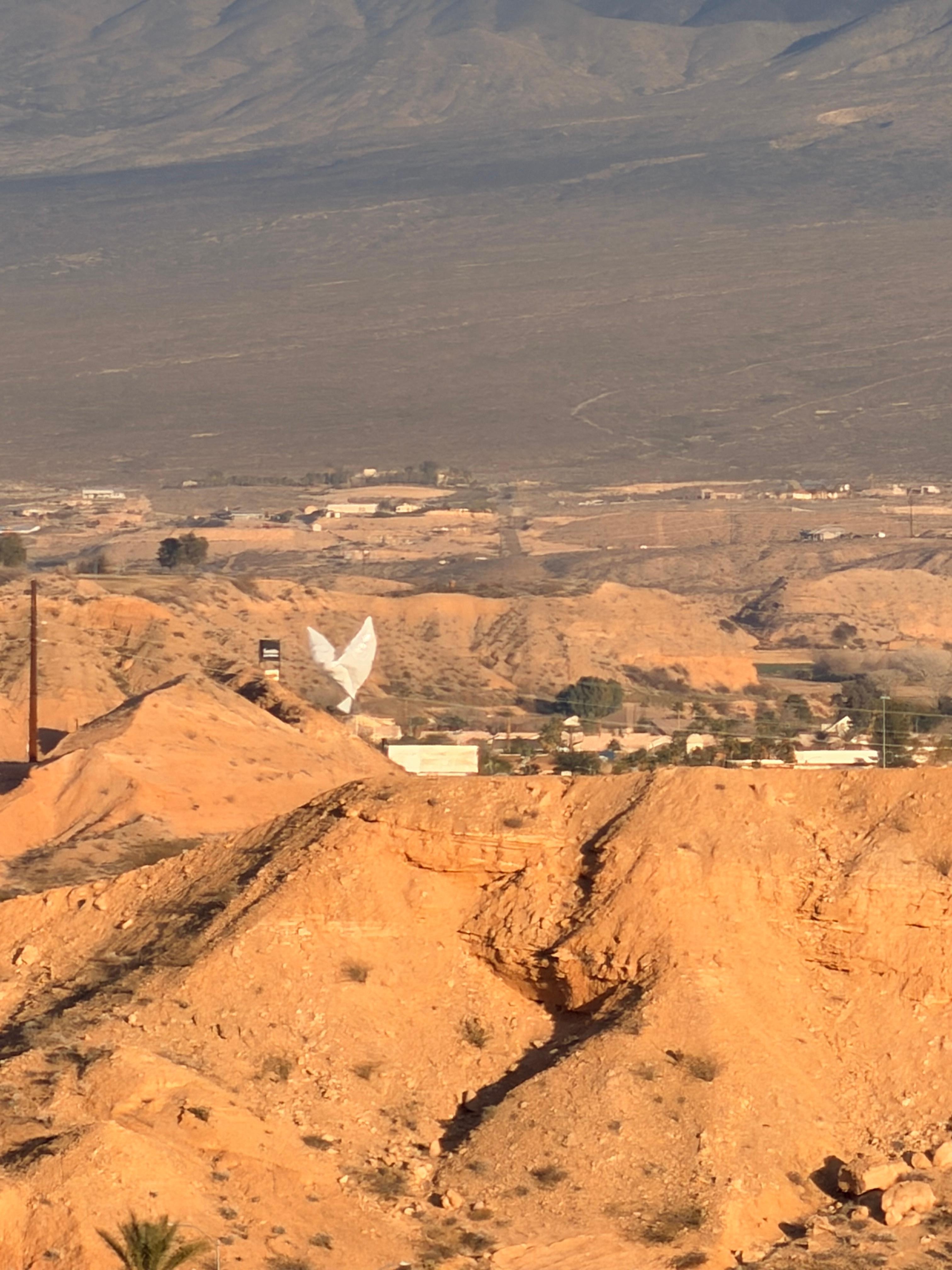 View from the upper deck