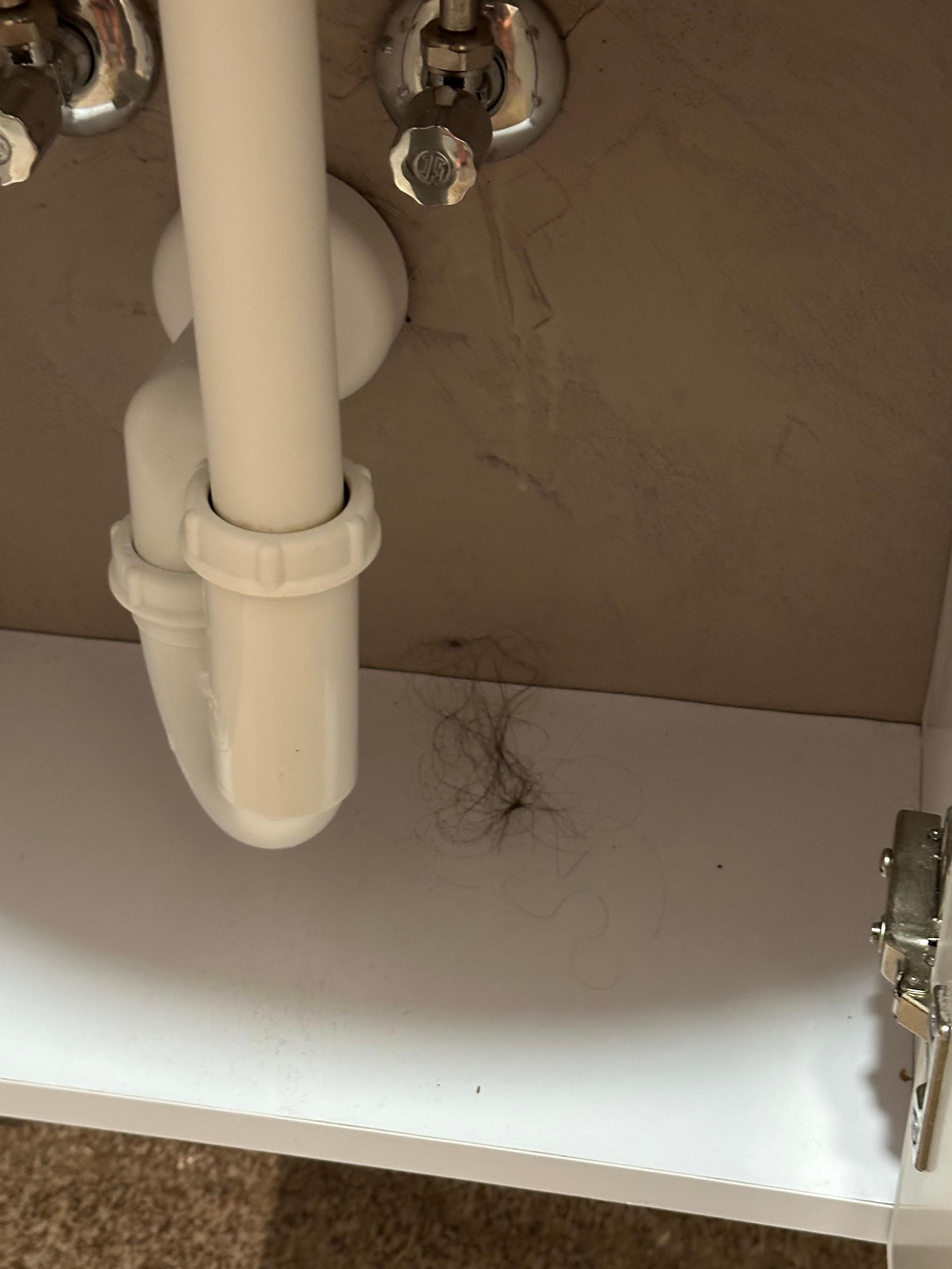 Bathroom cupboard. Was going to put toiletries there