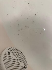 Mold in the bathtub. Unsanitary. Couldn’t use the bath.