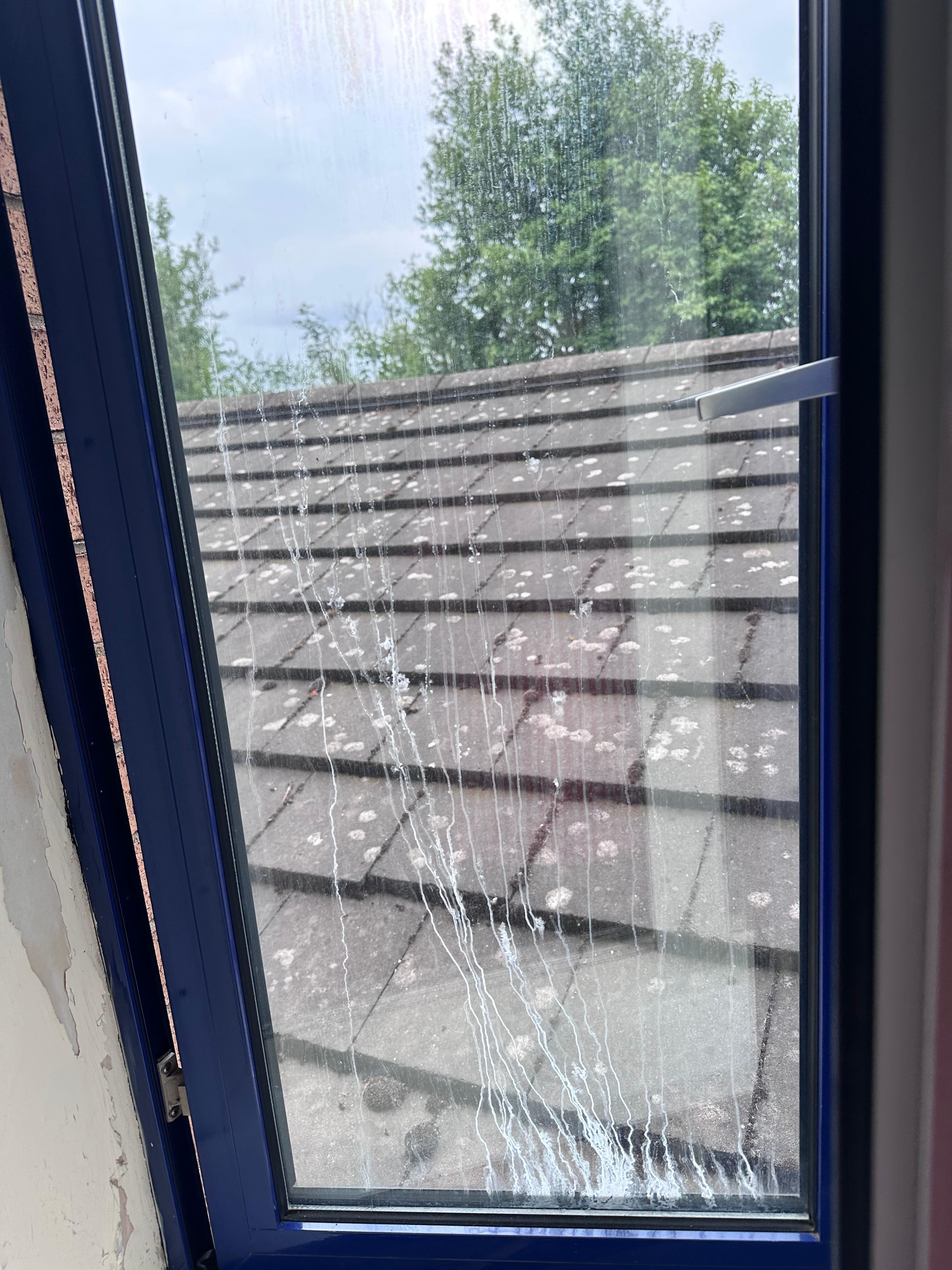Filthy windows