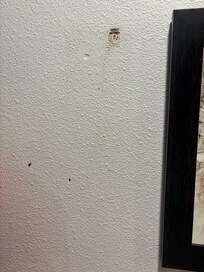 nasty walls