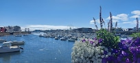 En traversant le pont, le port du Guilvinec.