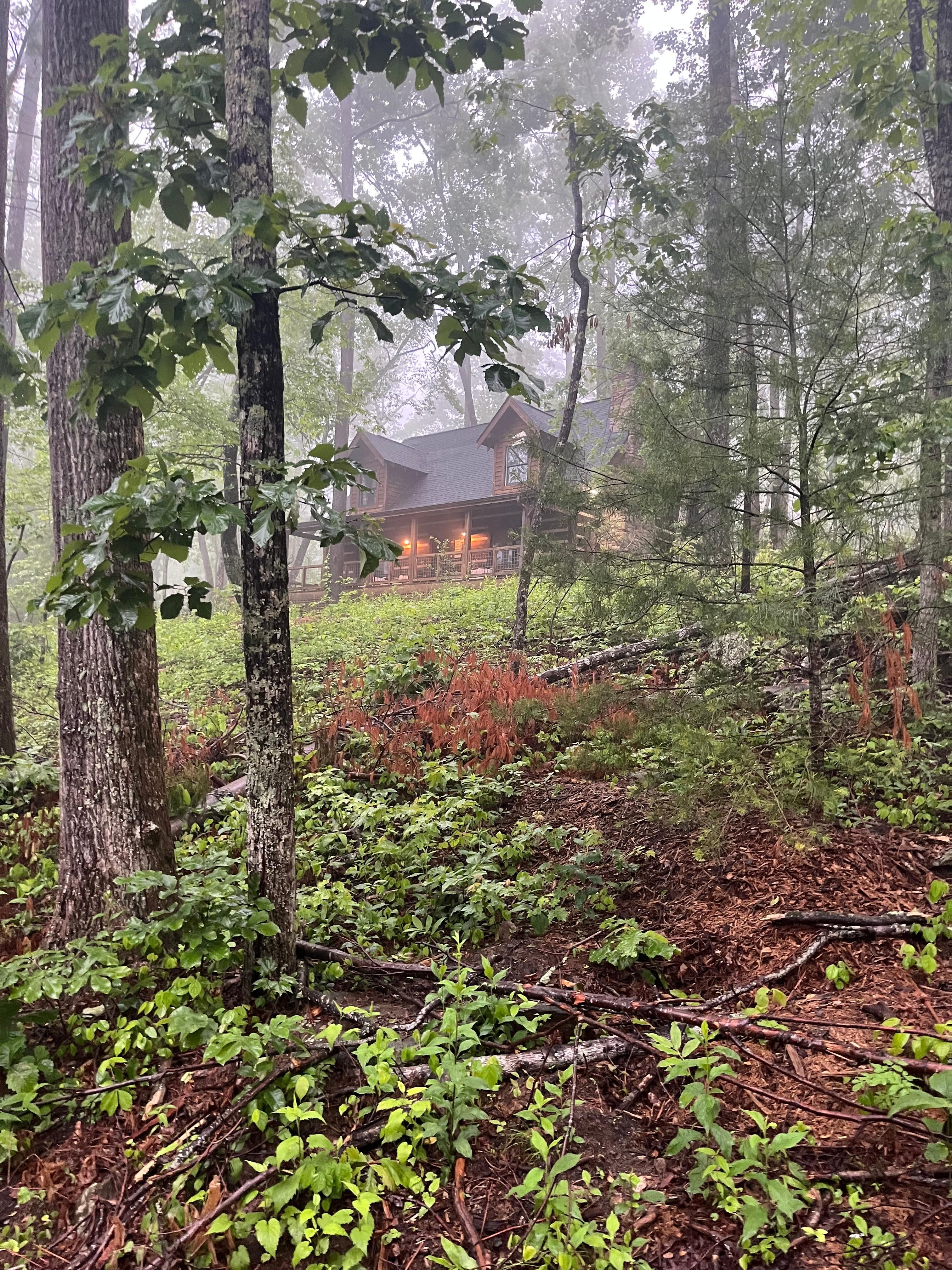 Even with the foggy/wet weather, the ambiance was stunning! 