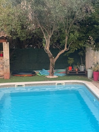 Backyard pool is fabulous!